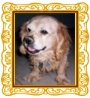 Henry