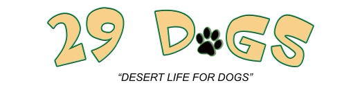 Welcome to 29 Dogs!